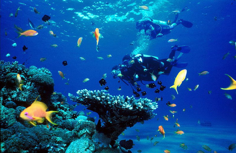 Scuba Diving Courses, Holiday Activities in Crete