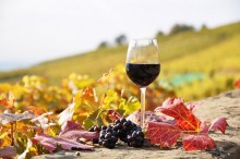 Taste Cretan Wine At The Top Wineries Of Crete