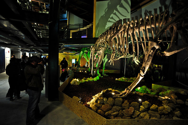 The Natural History Museum in Heraklion