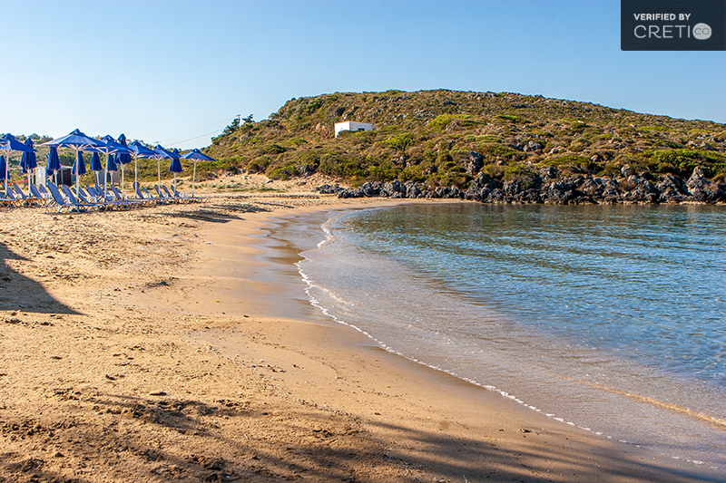 The sunbeds in Tersanas Beach in Crete