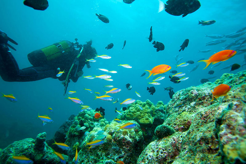 Scuba Diving, one of the most popular water sports in Crete