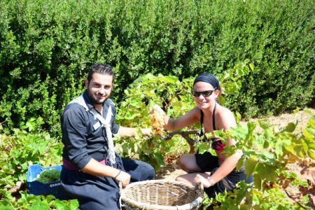 Agrotourism In Crete – Experience The Authentic Crete
