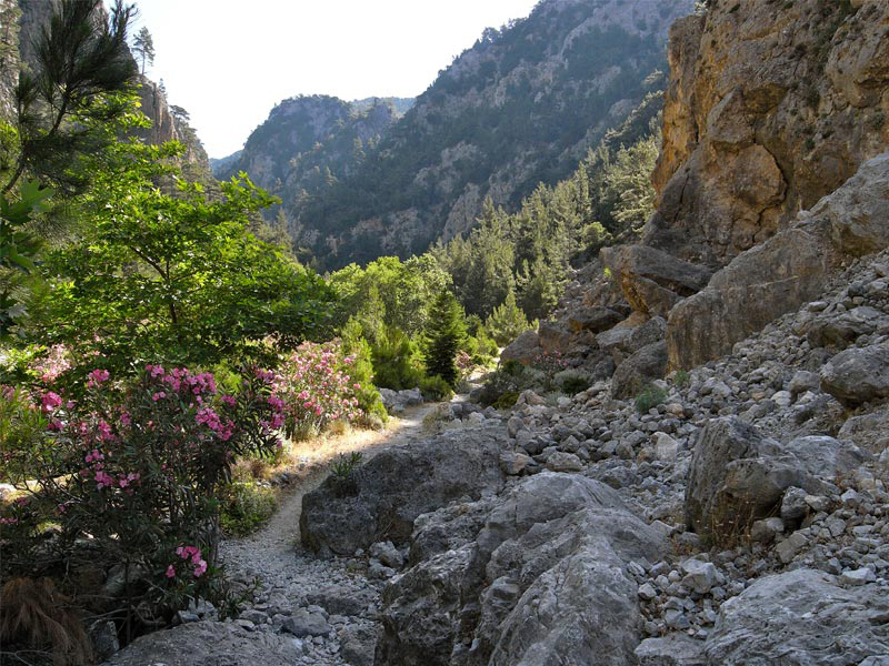 The Gorge of Agia Irini - Corges in Crete