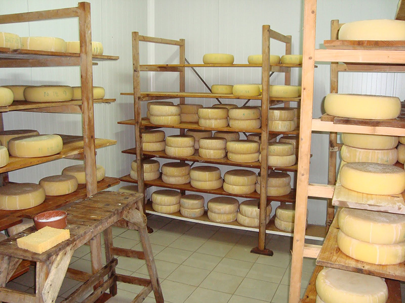 Traditional dairy in Crete