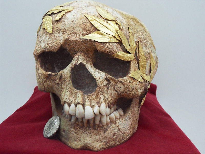 The athlete's skull, the most important exhibit of the Museum