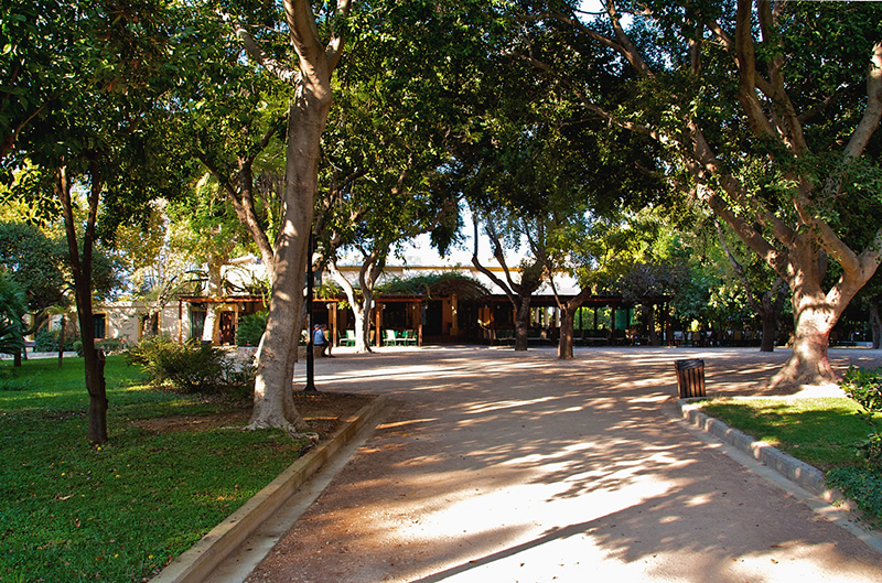 The Public Garden of Chania in the centre of the-city - A nice spot to take your morning coffee