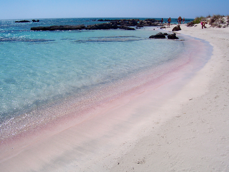 The white pink beach of Elafonisi