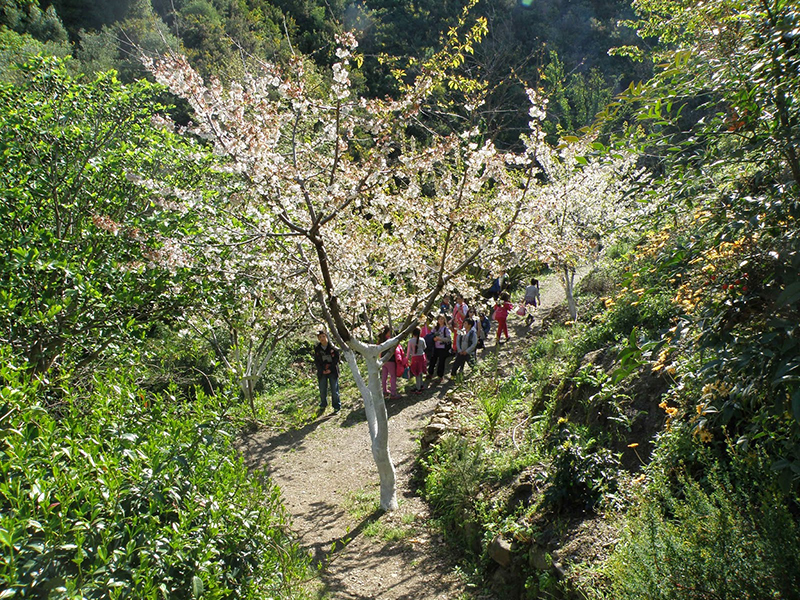 Botanical Park and Gardens of Crete