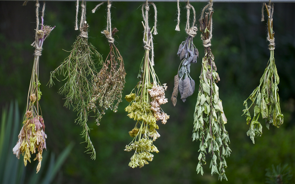 Cretan herbs